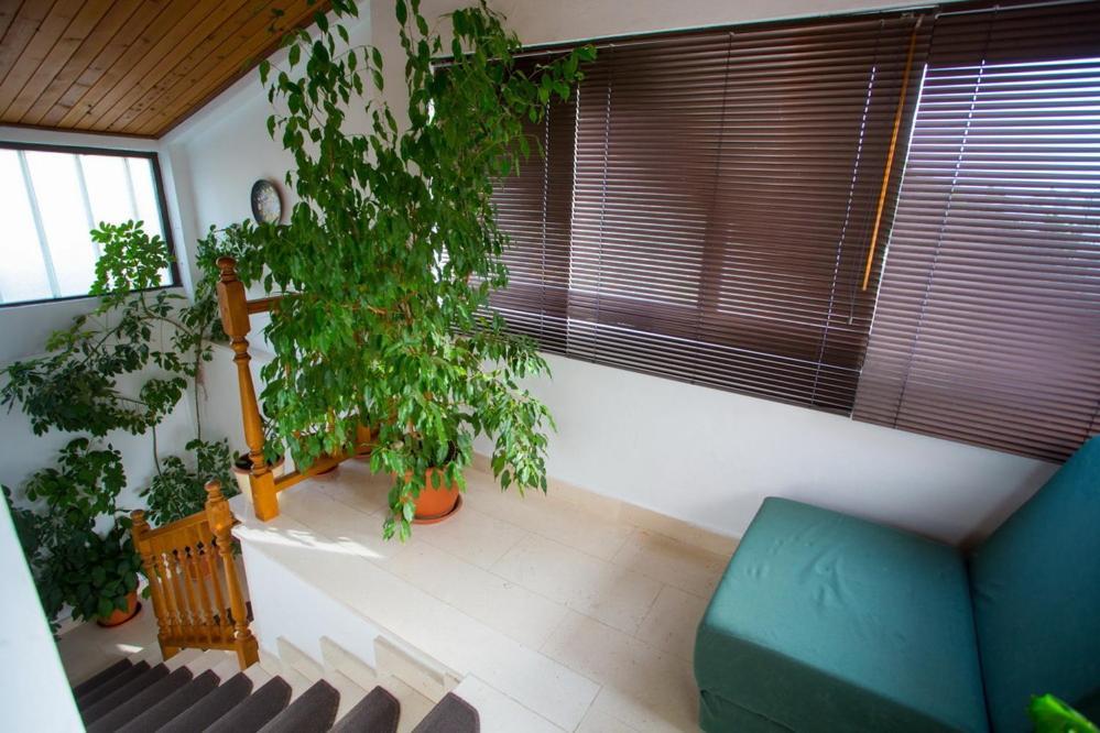 פודגורה Apartments Tanja מראה חיצוני תמונה