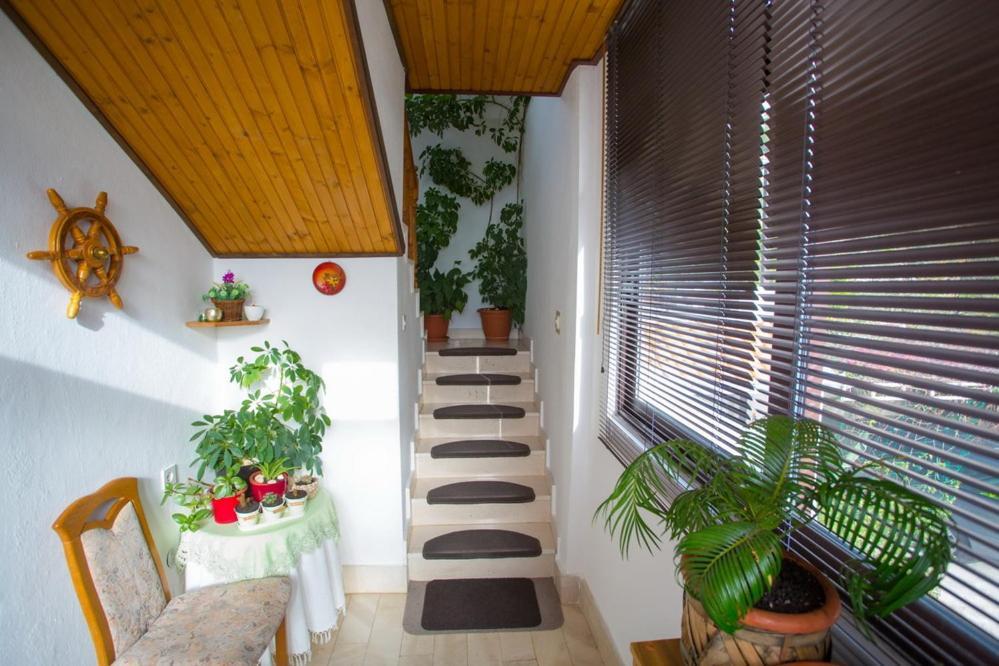 פודגורה Apartments Tanja מראה חיצוני תמונה