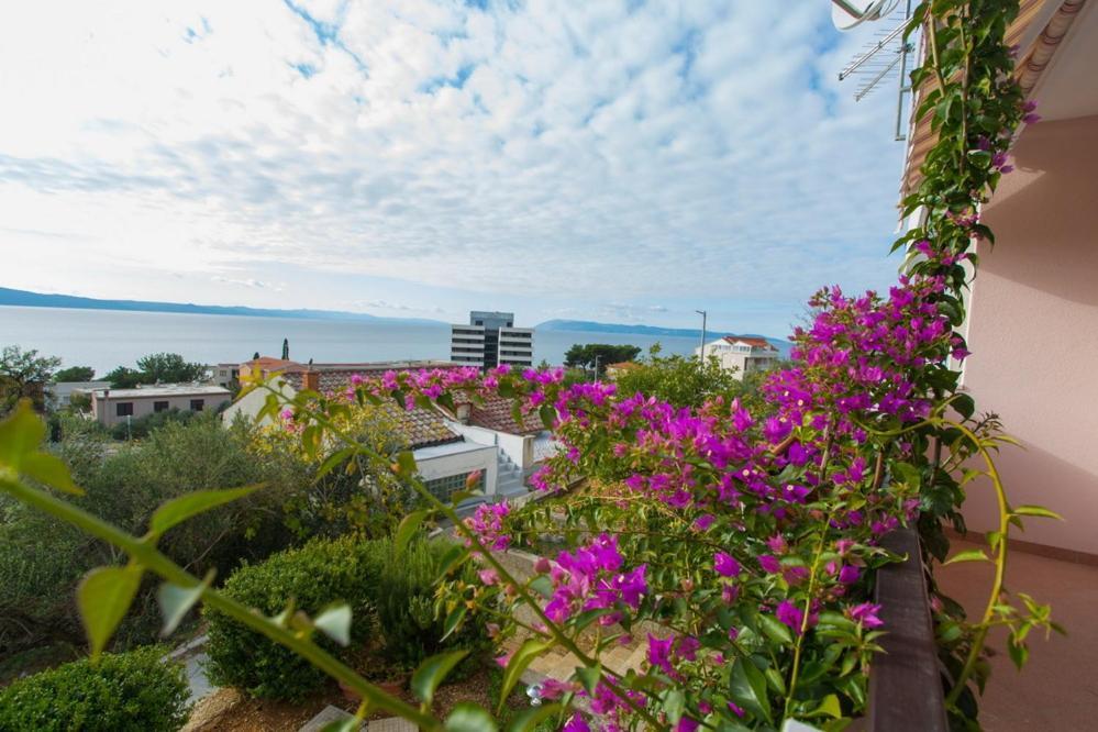 פודגורה Apartments Tanja מראה חיצוני תמונה